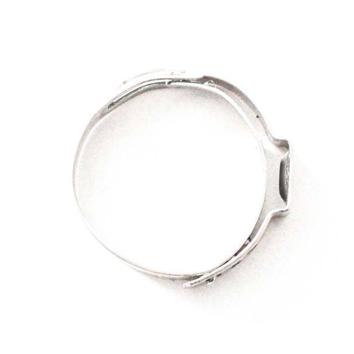 Stainless Safety Clamps